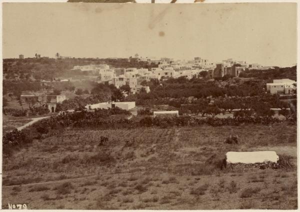 [Ville d'Afrique du Nord non identifiée] (Photo rare)