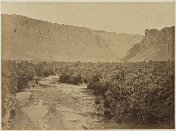 Vue du village d'El Kantara prise de la rivière (Photo rare)