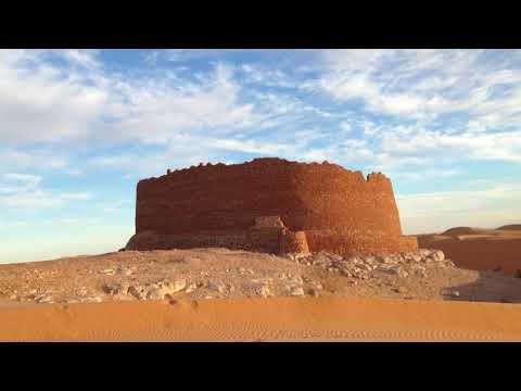 صوره لاحد قصور تاله في العرق بمنطفة تيميمون