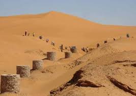 صوره للفقارات بمنظقة قوراره - تيميمون