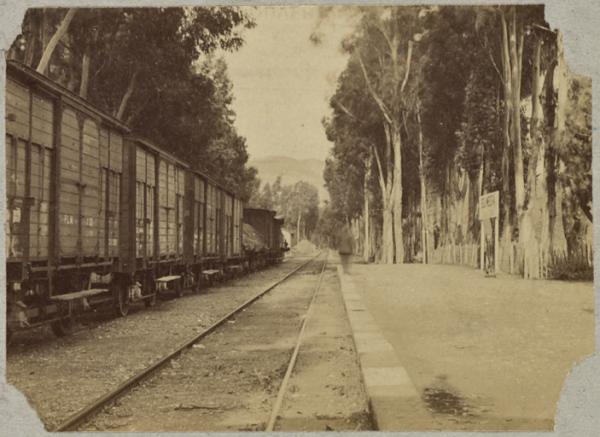 [Train de marchandises à quai] (Photo rare)