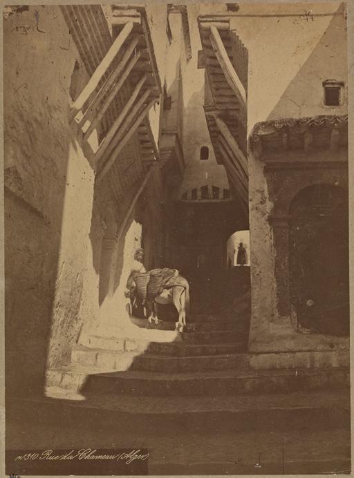 Rue du Chameau (Alger) (Photo rare)