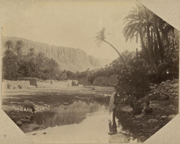 Oasis d'El Kantara dans l'Aurès (Photo rare)