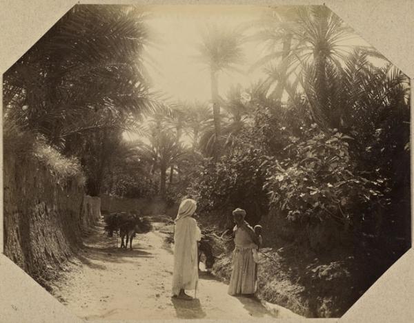 Dans le village arabe de Biskra (Photo rare)