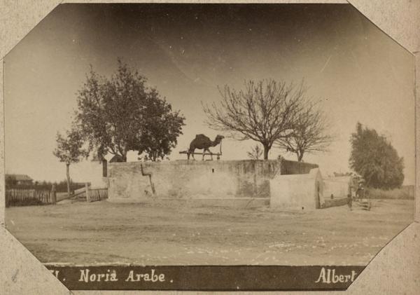 Noria arabe (Photo rare)