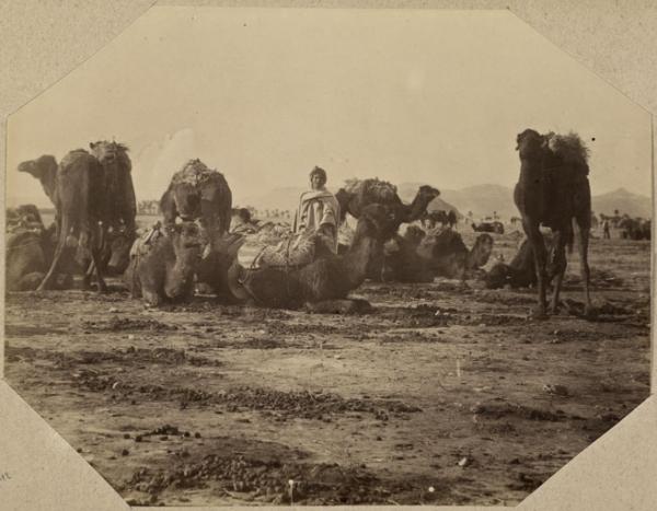 [Caravane] (Photo rare)