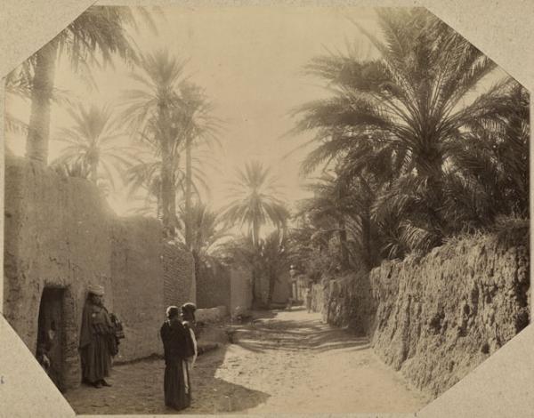 Les villas et le boulevard à Sidi-Okba (Photo rare)