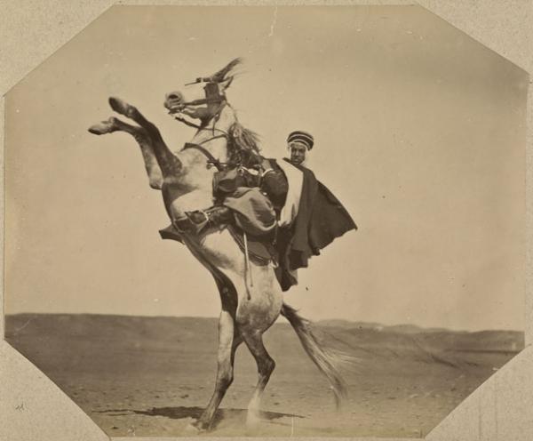 [Cavalier] (Photo rare)