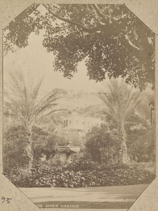 Alger. Jardin Marengo (Photo rare)