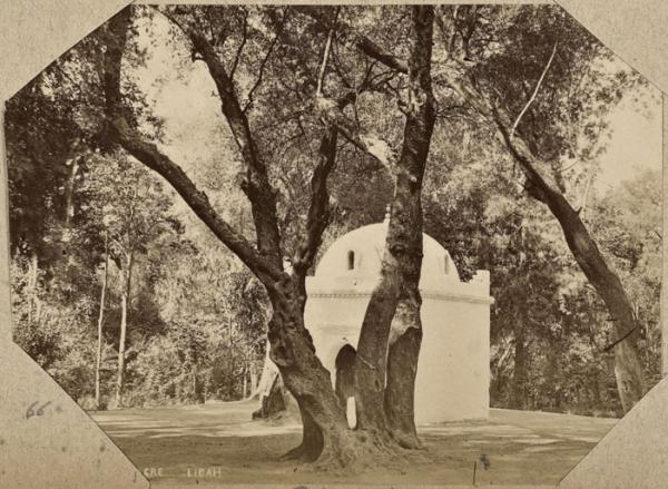 Bois-Sacré. Blidah (Photo rare)