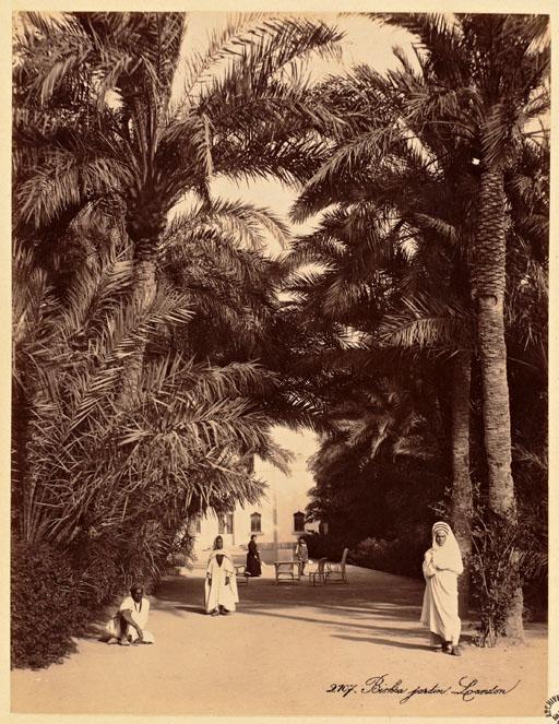 Biskra. Jardin London (Photo rare)