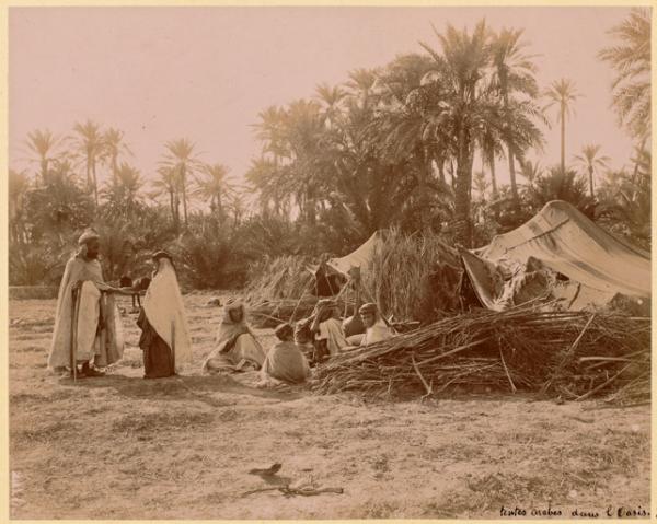 Tentes arabes dans l'oasis [Biskra] (Photo rare)