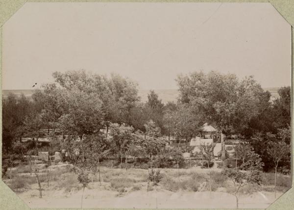 El Aricha. Les jardins de la garnison (Photo rare)