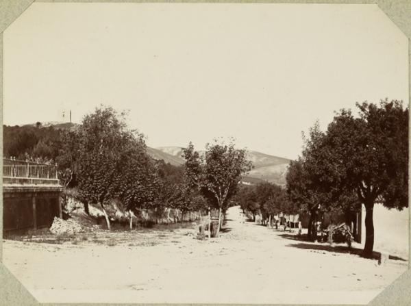 Route d'Inkermann en sortant de la redoute (Photo rare)