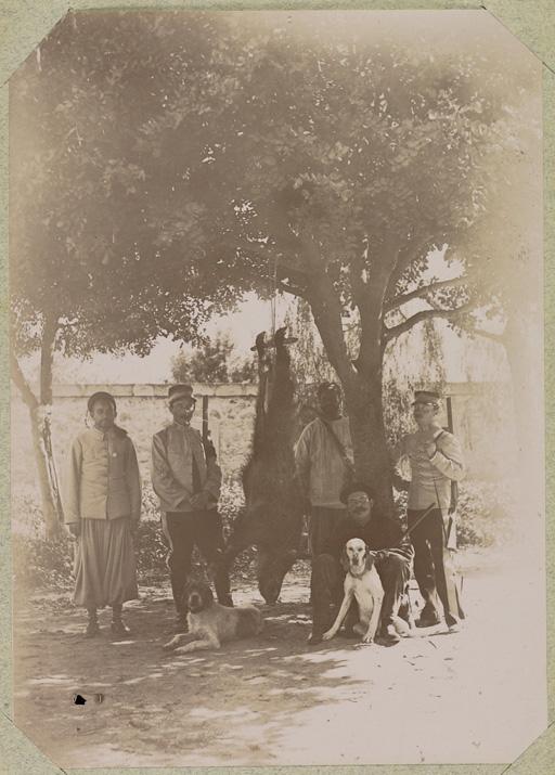 Algérie. Militaires de retour de la chasse avec leur trophée, un sanglier (Photo rare)