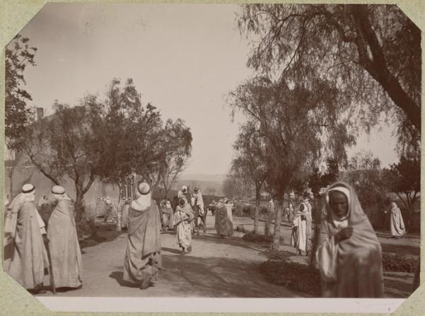 Algérie. [El Aricha.] (Photo rare)