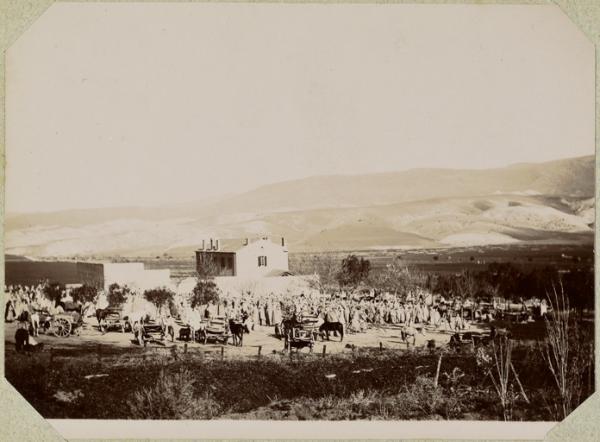 Algérie [El Aricha. Marché] (Photo rare)