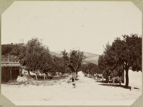 [Route d'Inkermann en sortant de la redoute] (Photo rare)