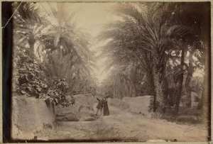 Environ[s] de Biskra (Photo rare)