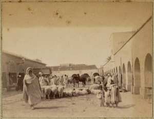 [Biskra] (Photo rare)