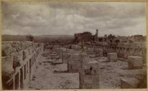 Écuries. Ensemble des Anges [Tebessa] (Photo rare)