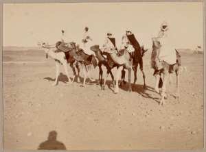 [Méharistes de la mission Flamand-Pein?] (Photo rare)