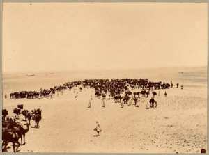 Dans le Reg [Mission Flamand, colonne du Tidikelt?] (Photo rare)