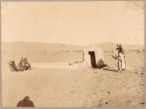 [Puits  près d'El Goléa?] (Photo rare)