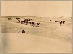 [Convoi de la mission Flamand-Pein?] (Photo rare)