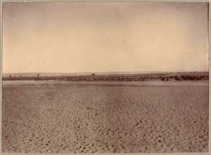 [Hamada] (Photo rare)