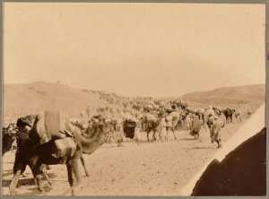 [Convoi de la mission Flamand ou de la colonne du Tidikelt?] (Photo rare)