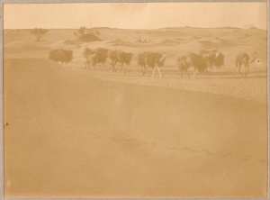 Convoi de drims (Photo rare)