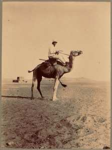 [Officier ou soldat en méharé] (Photo rare)