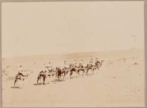 [Un convoi militaire : mission Flamand-Pein?] (Photo rare)