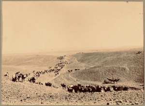 [Convoi de la mission Flamand-Pein?] (Photo rare)