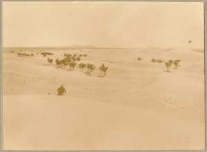 Un convoi dans les dunes [colonne du Tidikelt?] (Photo rare)