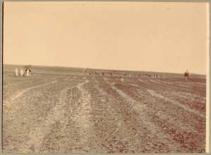 Un convoi dans la hamada (Photo rare)