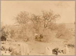 La halte (Photo rare)