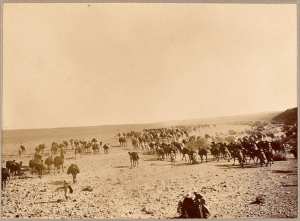 La sortie du Djebel (Photo rare)