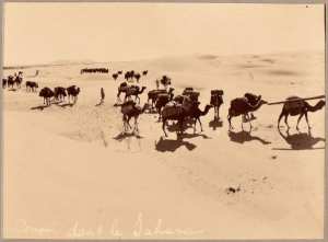 Convoi dans le Sahara [Colonne militaire du Tidikelt?] (Photo rare)