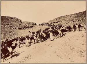 [Convoi de la mission Flamand ou de la colonne du Tidikelt?] (Photo rare)