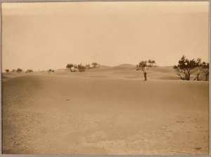 L'Erg [dune] (Photo rare)