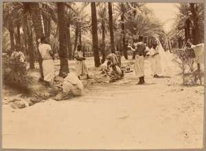Lavoir dans l'oasis d'in-Salah  [étape de la colonne du Tidikelt du commandant d'Eu du 14 et 16 mars 1900?] (Photo rare)