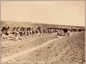 Colonne du Tidikelt (Photo rare)