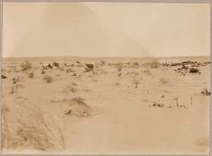 Hassi-el-Mélah près d'Aoulef (Photo rare)