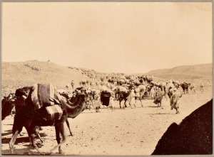 Convoi de la colonne [mission Flamand?] (Photo rare)