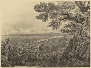 Vue d'Alger prise du Bouzaréa (Otth) (Photo rare)