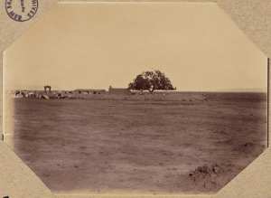 El Morra. Le poste des goumiers, ancienne redoute du bataillon d'Afrique (Photo rare)