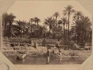 Béni-Abbès 1902. Un coin de l'oued Saoura et de la palmeraie (Photo rare)