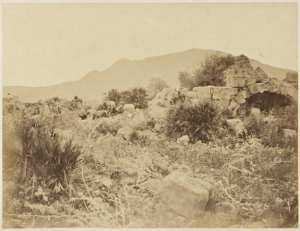 Tipaza (ruines) (Photo rare)